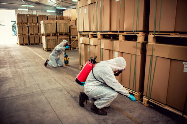 Best Exterminator Services  in Cleveland, TN