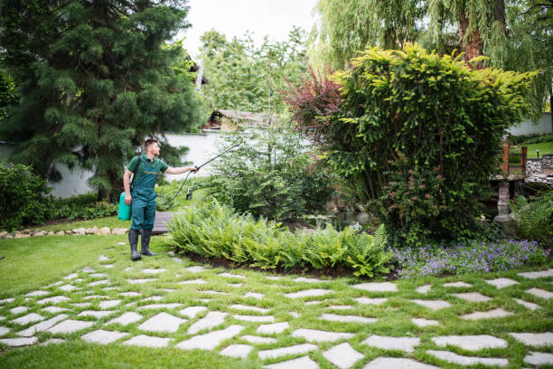 Best Affordable Pest Control Services  in Cleveland, TN