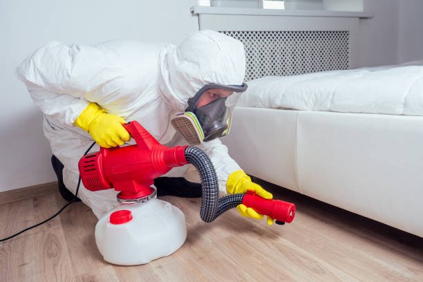 Best Wasp Removal Services  in Cleveland, TN