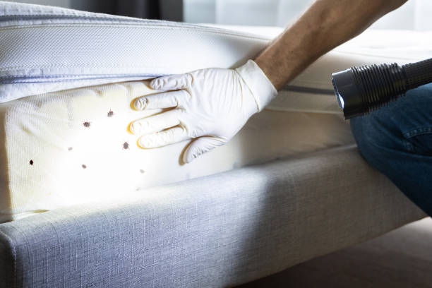 Best Insect Control  in Cleveland, TN