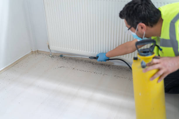 Best Mosquito Control Services  in Cleveland, TN