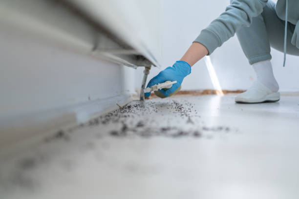 Best Affordable Pest Control Services  in Cleveland, TN