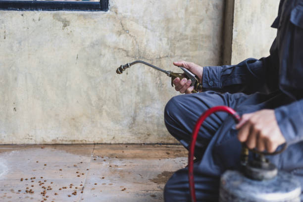 Best Residential Pest Control  in Cleveland, TN